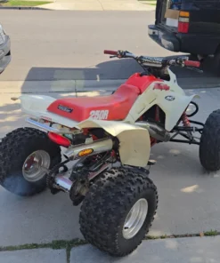 1989 Honda TRX 250R Fourtrax